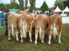 montigny 2010 gaec richard roger
